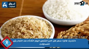 «تحديث هام» سعر طن الأرز الشعير اليوم الثلاثاء عند التجار يثير التساؤلات
